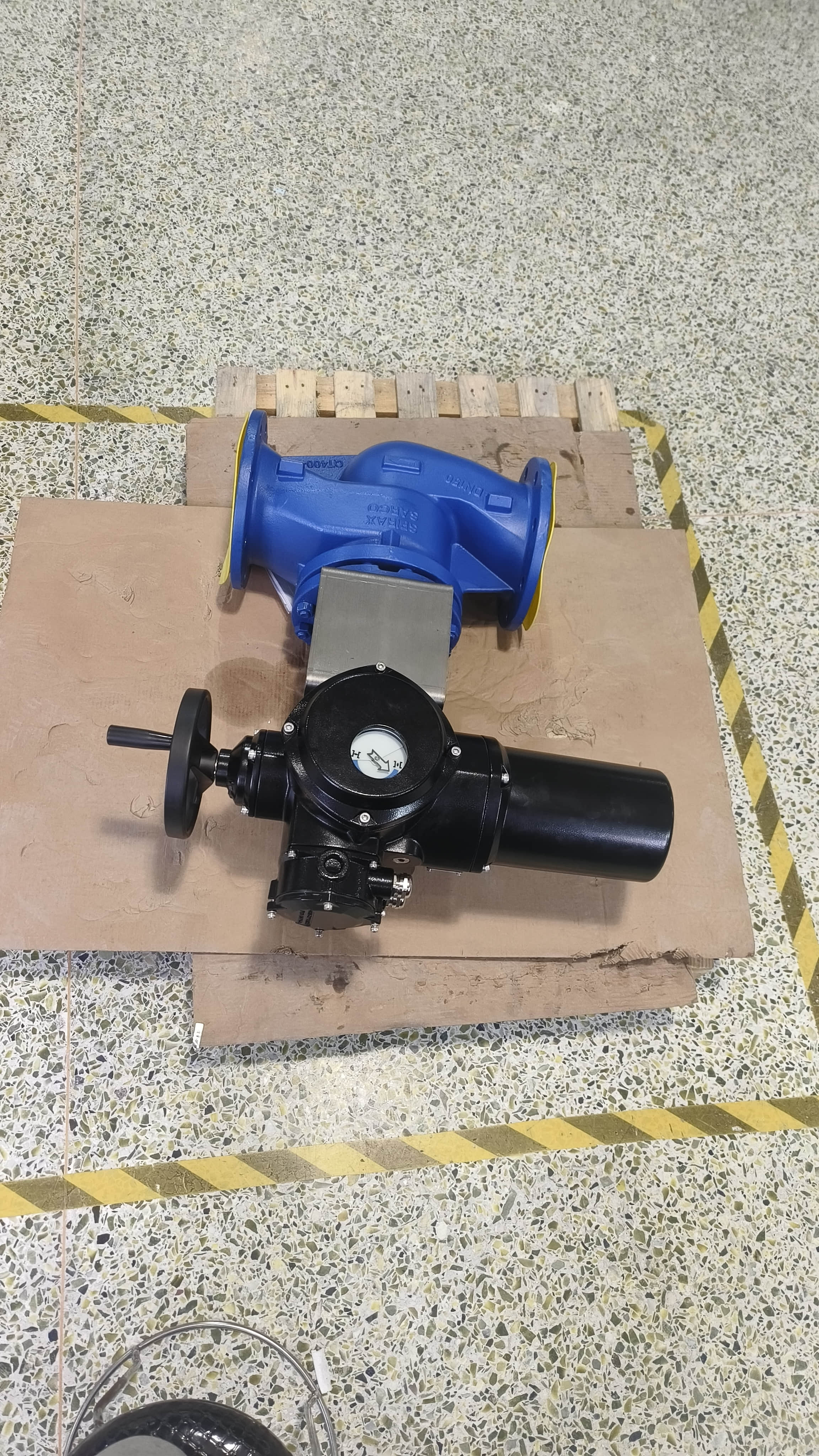 WCB Electric Globe valve