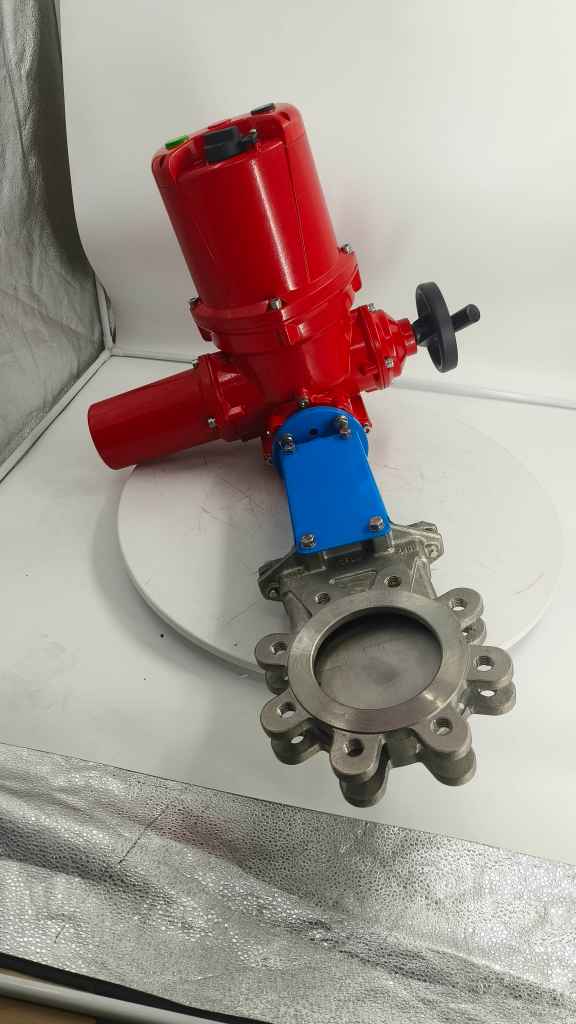 Explosion proof electric gate valve