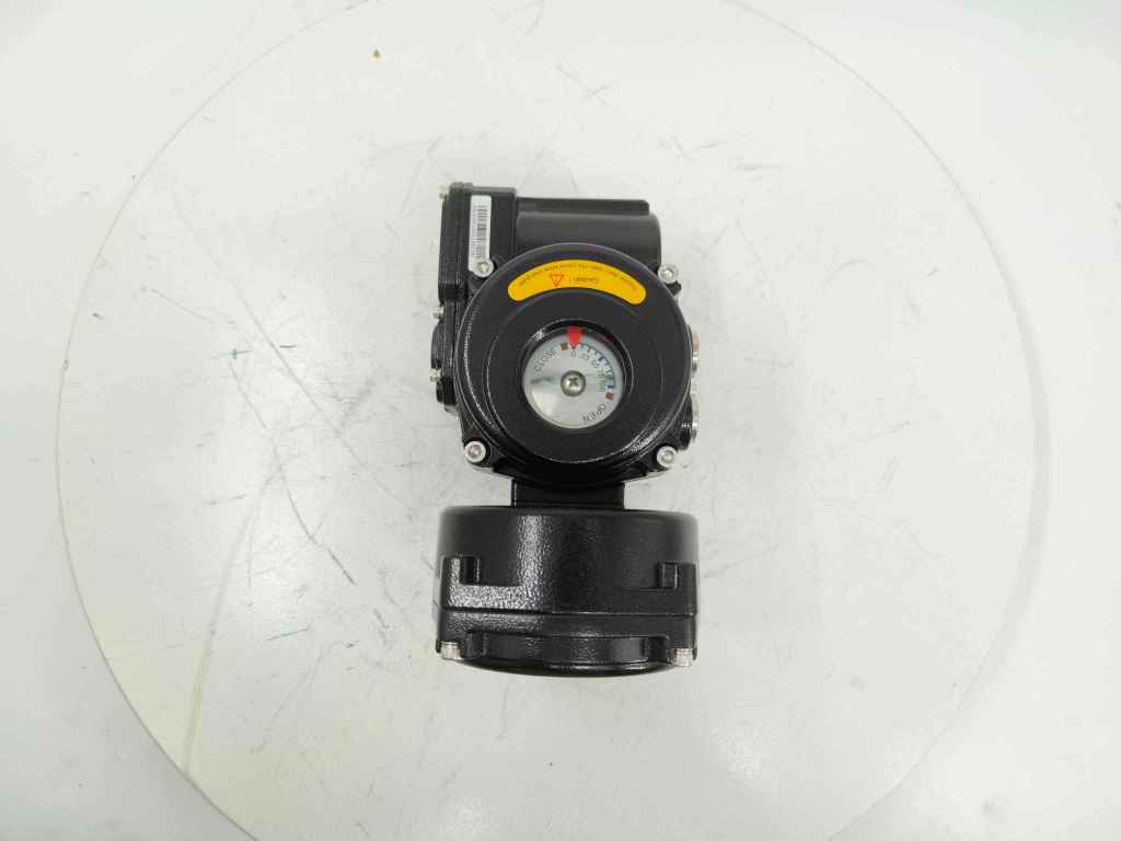 Explosion proof electric actuator