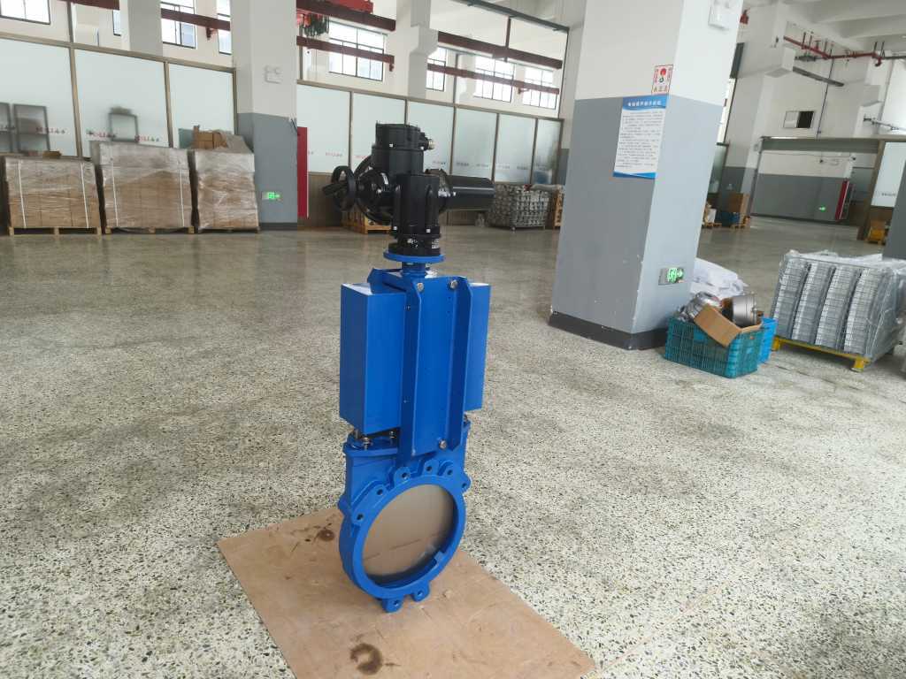 Hydrogen energy Electric flat gate valve